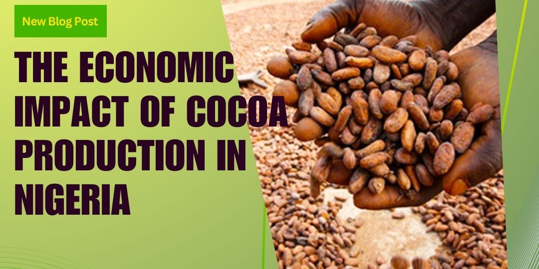 Economic Impacts of Cocoa Production in Nigeria