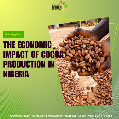 Economic Impacts of Cocoa Production in Nigeria